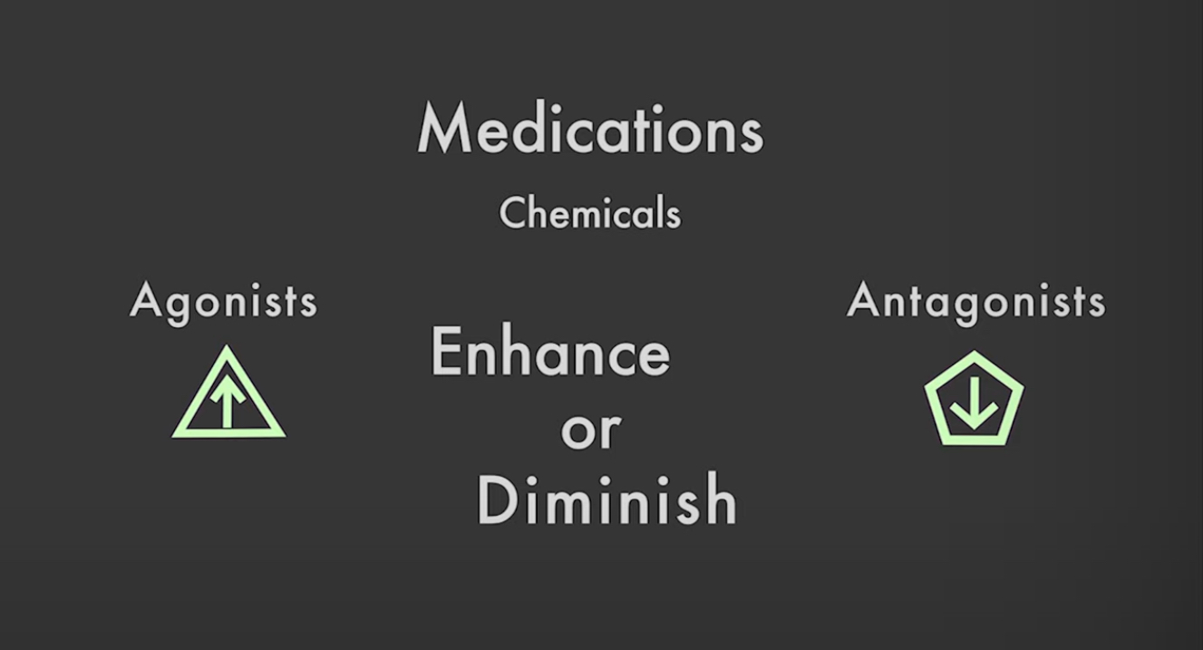 <p>Medication; aka chemicals</p>