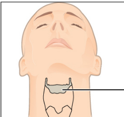 <ul><li><p>Does not articulate with any other bones, supports the tongue</p></li><li><p>Inferior to skull between mandible &amp; pharynx</p></li></ul><p></p>