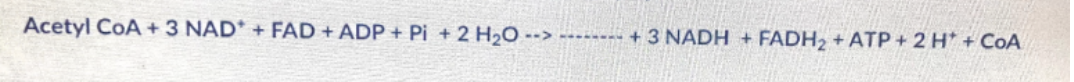 <p>In a net chemical reaction the TCA cycle, what is the missing stoichiometry?</p><p></p><p><strong>2 carbon-dioxide</strong></p><p><strong>4 carbon dioxide</strong></p><p><strong>Pyruvate</strong></p><p><strong>6 carbon dioxide</strong></p><p><strong>Carbon dioxide</strong></p>