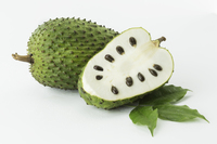 <p>Soursop</p>