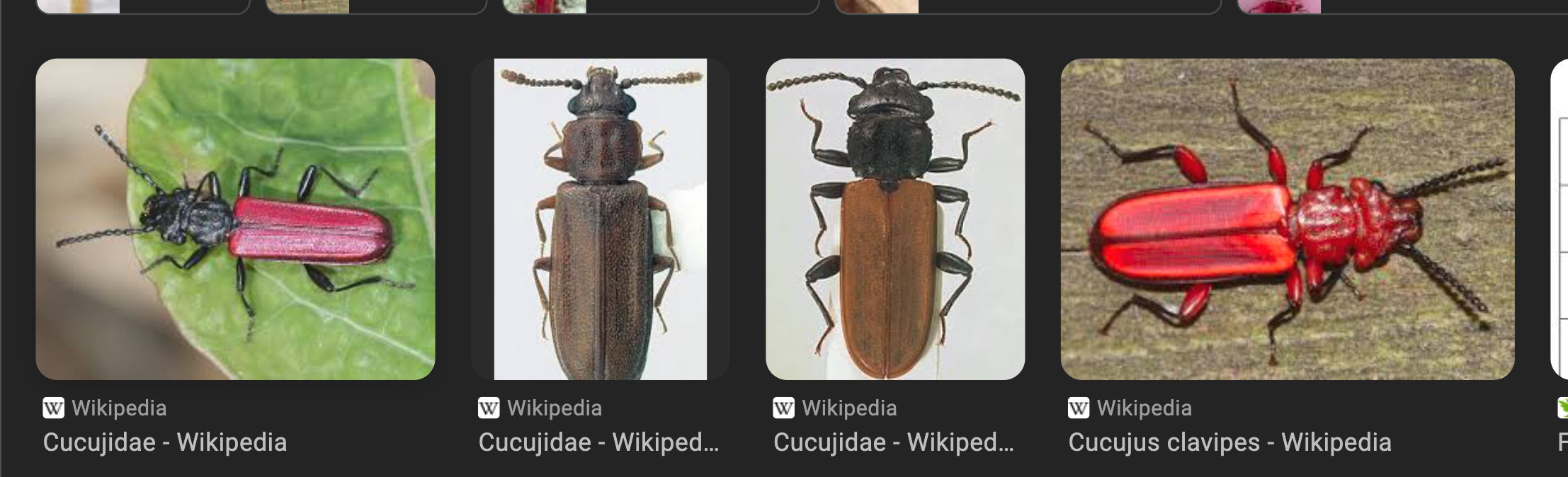 <p>back lowk looks like a popsicle </p><p>wired antenna </p>