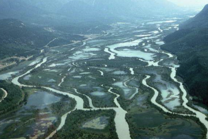 <p>Anastomosing RIver</p>