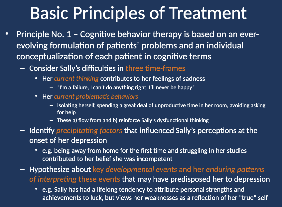 <p><strong>Key developmental events and enduring patterns of interpreting these events,</strong> like her tendency to attribute strengths to luck and view weaknesses as part of her “true” self, which may predispose her to depression.</p>