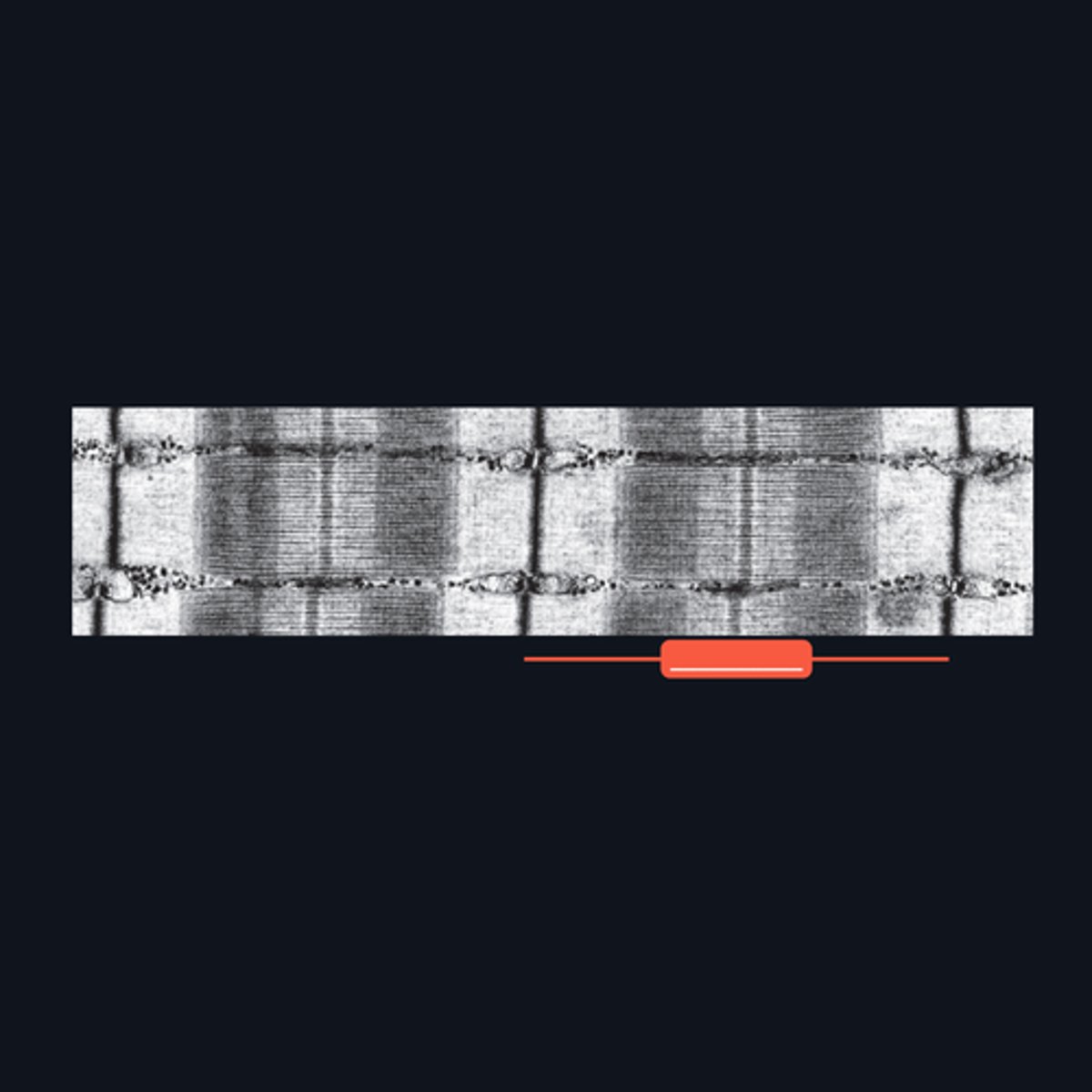 <p>Identify the structure</p>