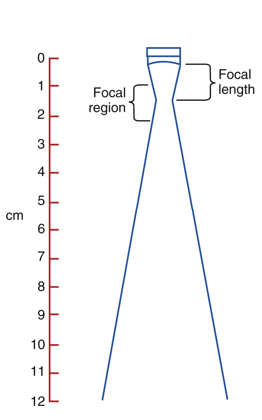 <p>the near zone and focal region</p>