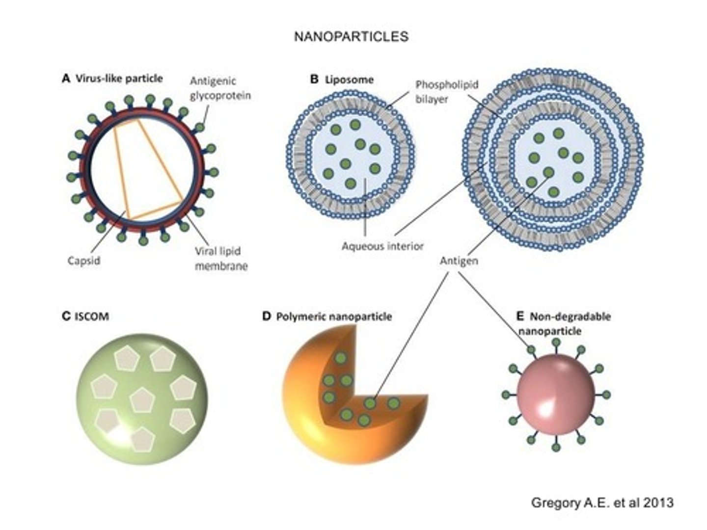 <p>prefix; 10^-9</p>