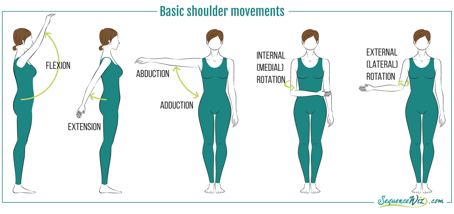 <ol><li><p>flexion</p></li><li><p>extension</p></li><li><p>abduction</p></li><li><p>adduction</p></li><li><p>internal/medial rotation</p></li><li><p>external/lateral rotation</p></li></ol><p></p>