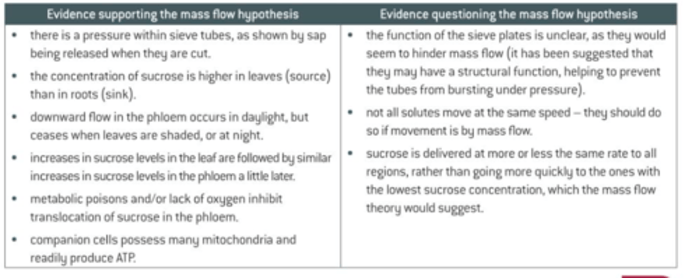 <p>- Rate of flow of sucrose is much faster than could take place by diffusion alone</p><p>- If we inhibit companion cell mitochondria, translocation would stop</p><p>- Concentration of sucrose in cells is higher in leaves (source) than roots (sink)</p>