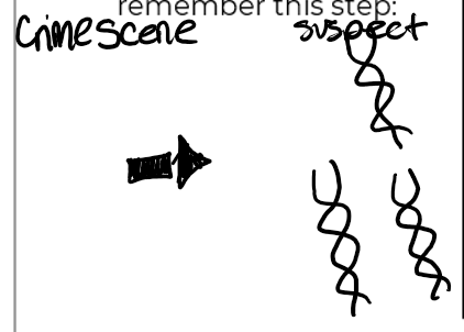 <p>Cut the DNA with a restriction enzyme</p>