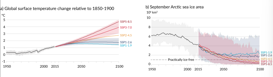 <p>What are some of the harshest implications of the different SSPs (Shared Socioeconomic Pathways)?<br><br>Outline the broad predicted trends over the remainder of this century for key climactic/environmental variables such as CO2, temperature, ocean pH, and sea level.</p>