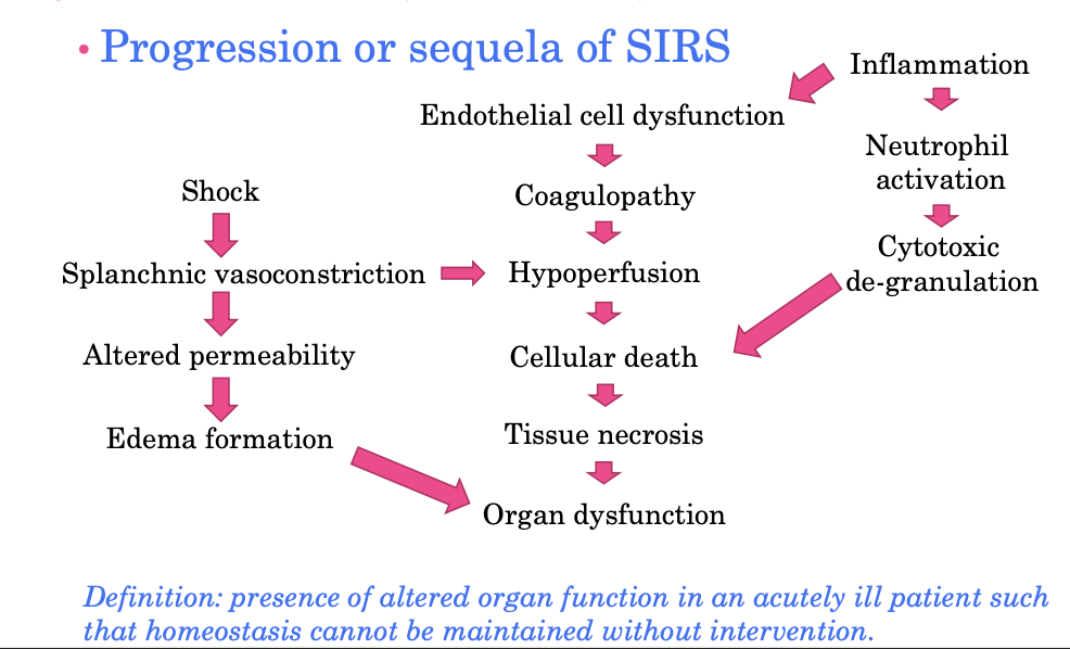 <p>progression or sequela of SIRS</p>