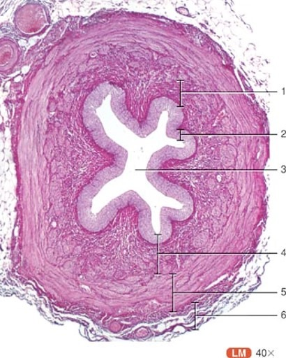 <p>5</p>