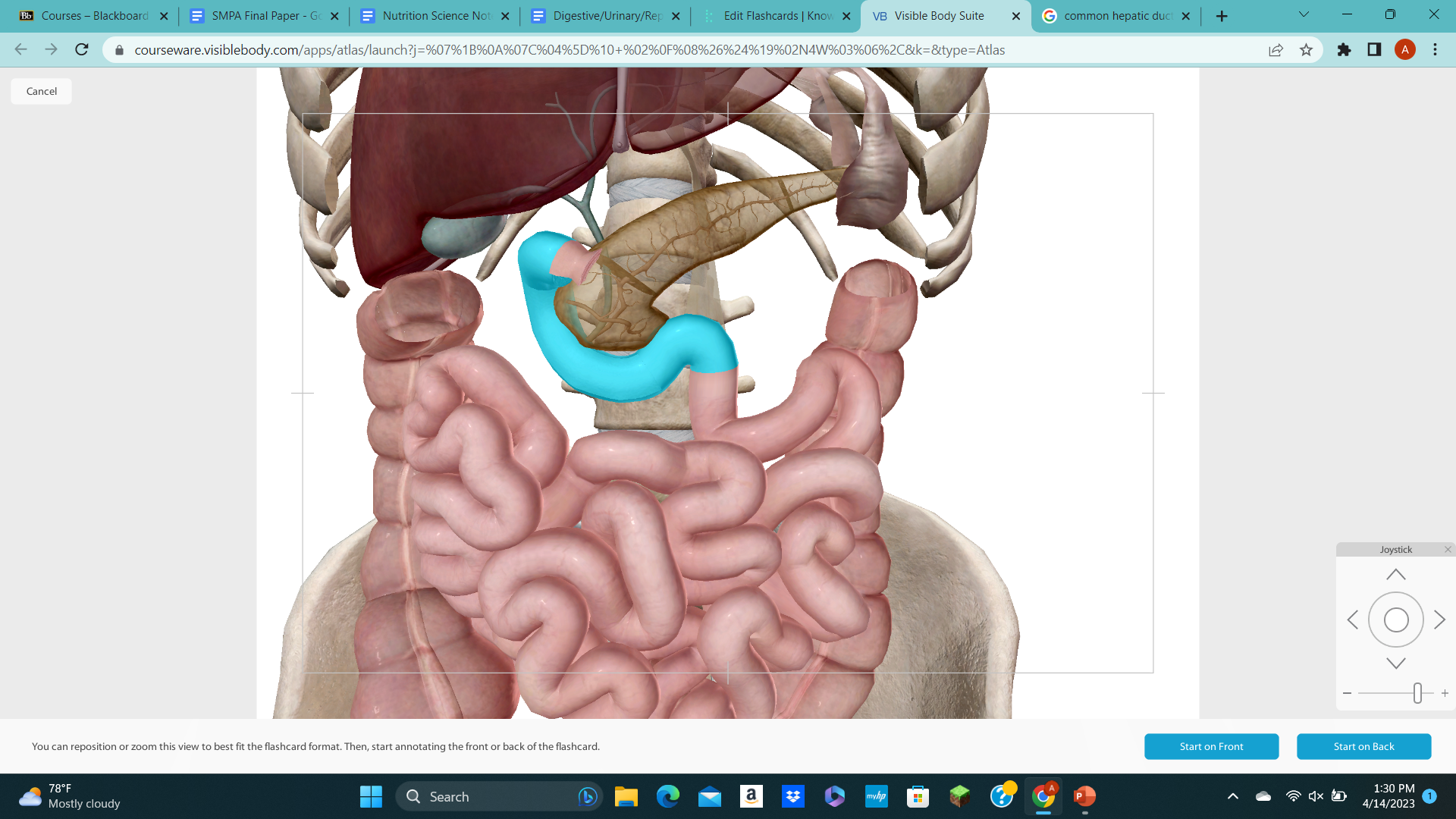 knowt flashcard image