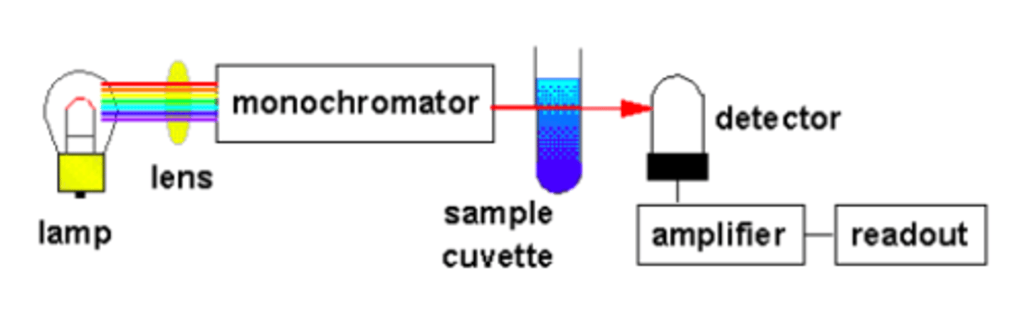 <p>The spectrophotometer is an instrument which measures the amount of light of a specificed wavelength which passes through a medium. According to Beer's law, the amount of light absorbed by a medium is proportional to the concentration of the absorbing material or solute present.</p>