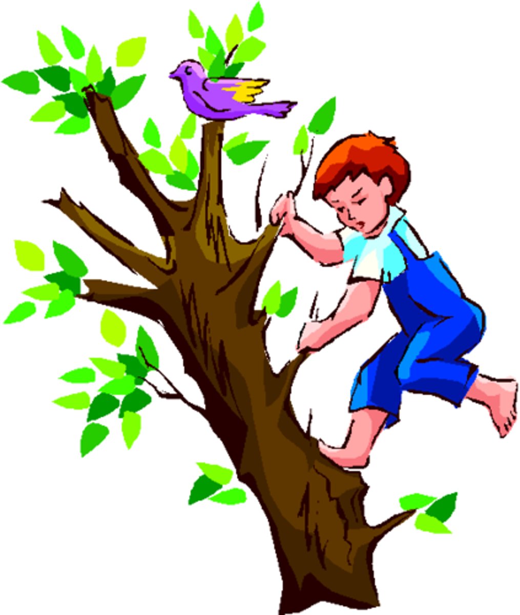 <p>to climb trees</p>