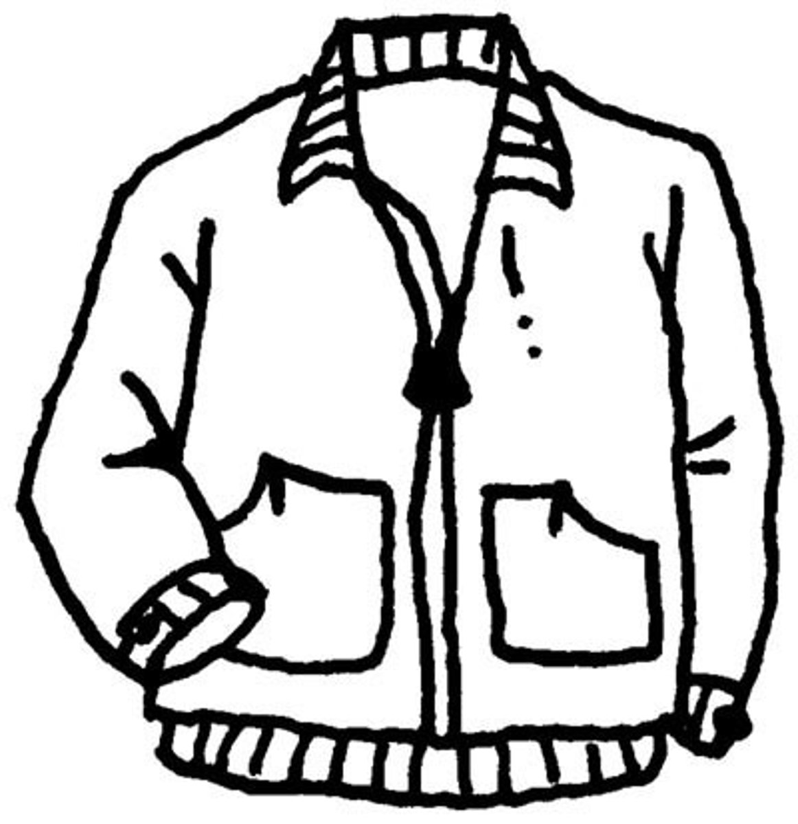 <p>(the) jacket</p>