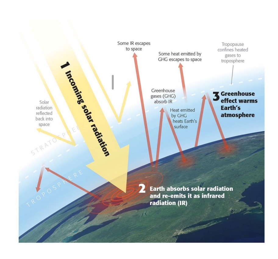 <p>The greenhouse effect</p><p>99% of atmosphere = _2 and _2</p><p></p><p>Gas molecules ab___ he___</p><ul><li><p>W___ va____ (H__)</p></li><li><p>Ca____ di____ (C_2)</p></li><li><p>Met_____(C_4)</p></li><li><p>Nit___s ox___ (N__)</p></li></ul><p></p><p>Traps h___ from earth sur___</p><p>Exacerbated by defo_______</p>