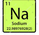 <p>Sodium </p>
