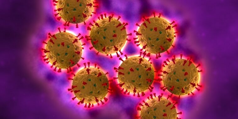 <p>Non-enveloped, segmented dsRNA. </p><p>Causes severe, watery diarrhea and vomiting in infants and young children.</p>