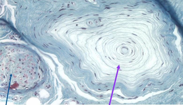 <p>what’s this?</p>