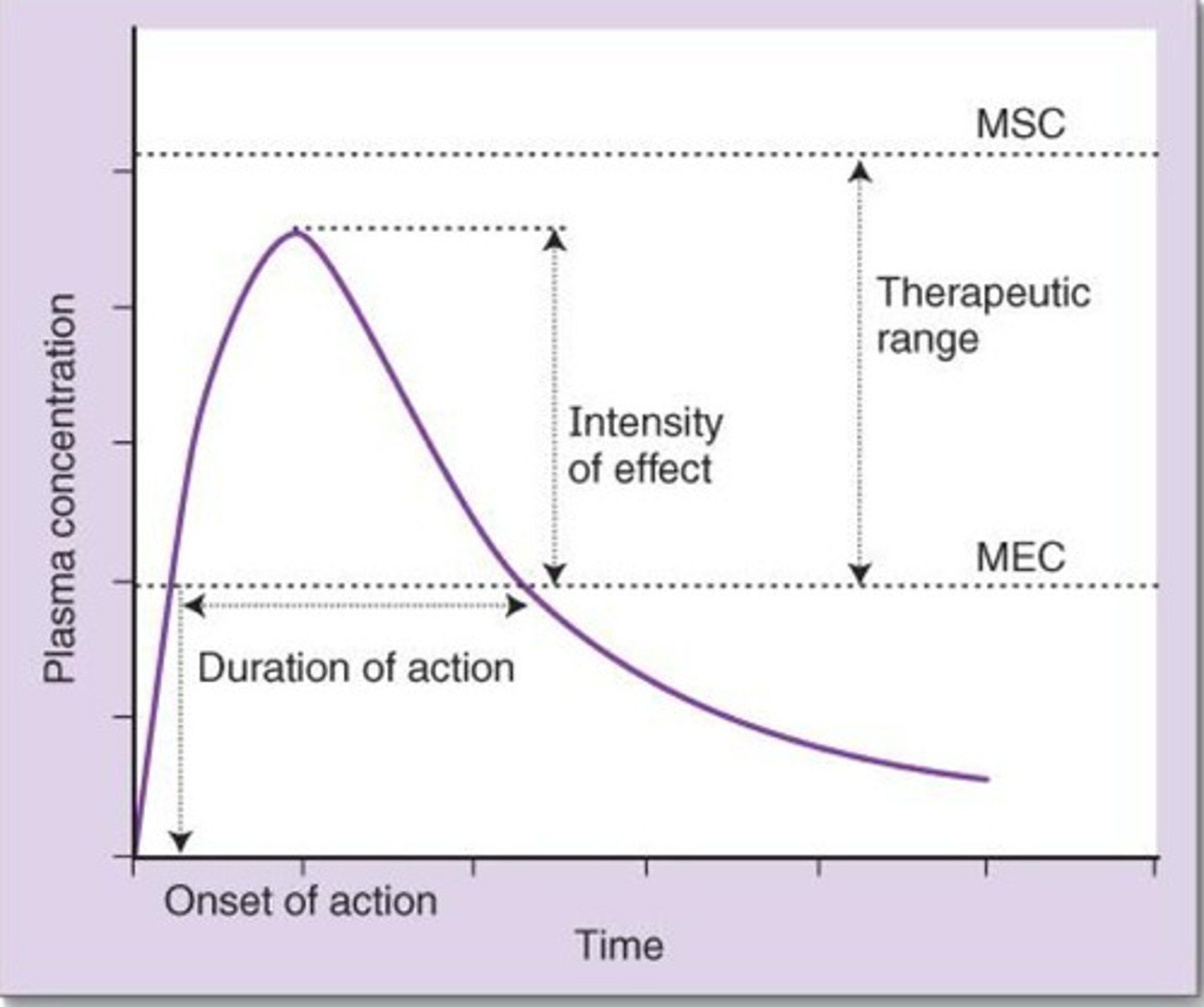 <p>how long it takes drug to reach the MEC level</p>