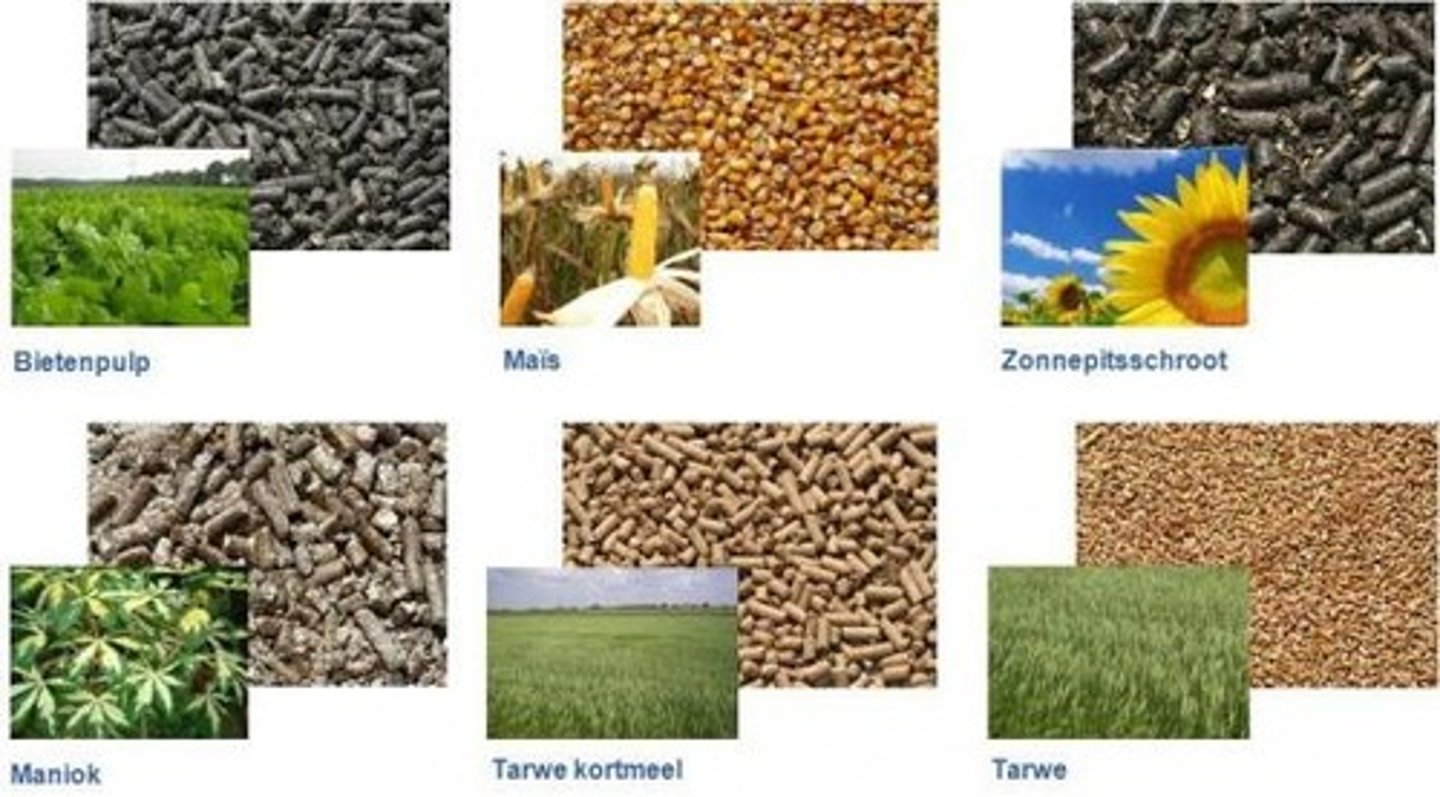<p>Ruw materiaal (zoals ijzererts of cacaobonen) dat bewerkt moet worden om er een product van te maken.</p>