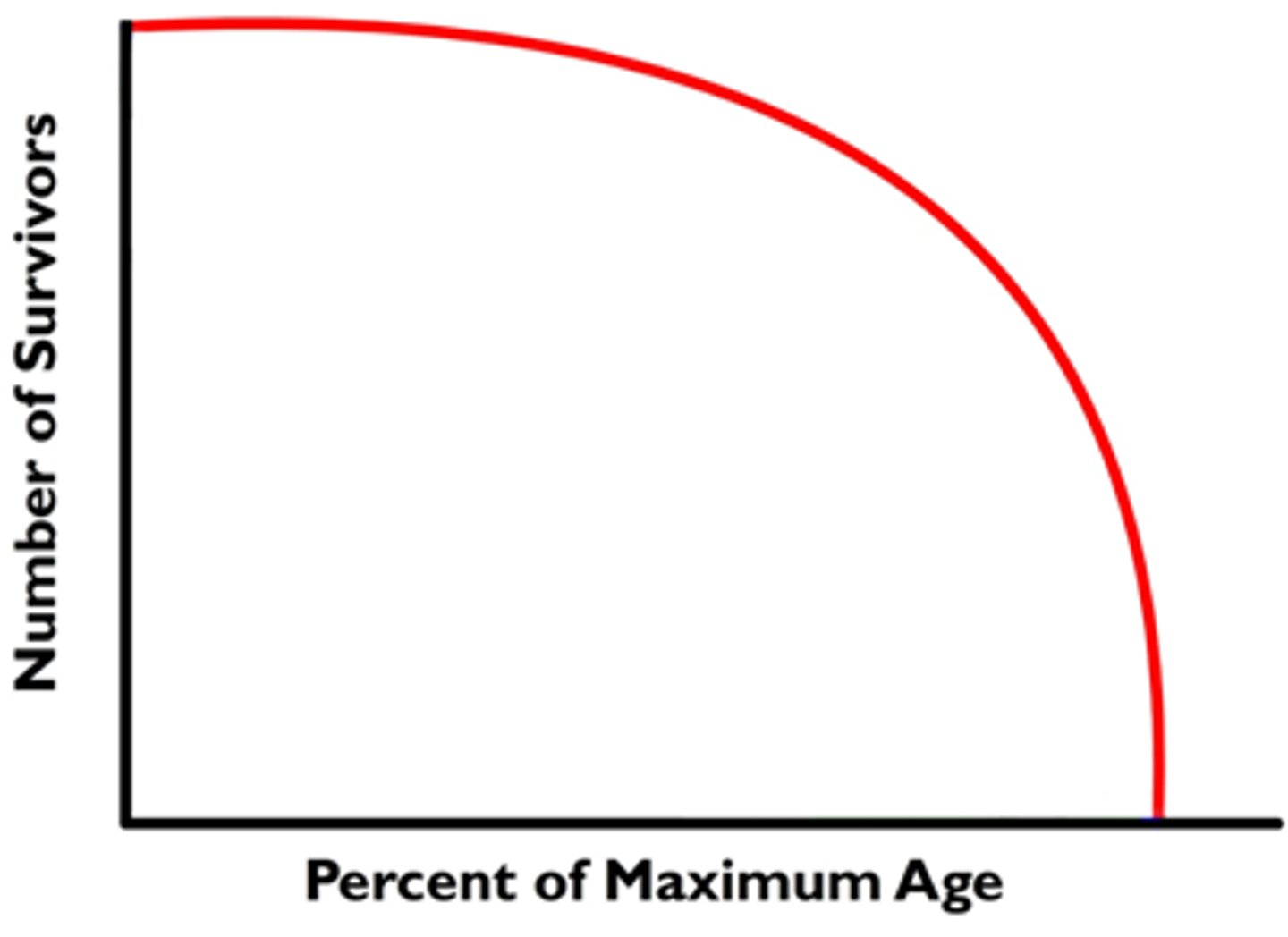 <p>a pattern of survival over time in which there is high survival throughout most of the life span, but then individuals start to die in large numbers as they approach old age</p>