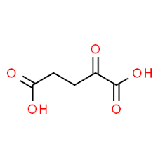 <p>alpha keto acid of glutamate</p>