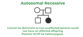 <p>autosomal recessive trait</p>