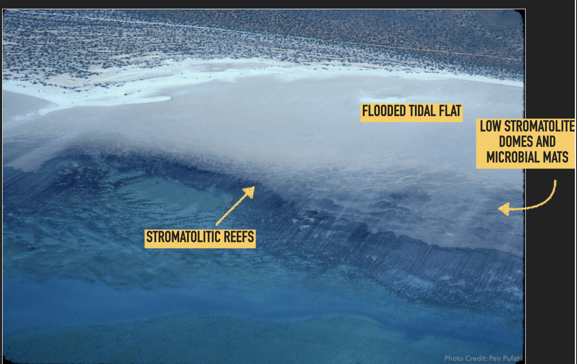 <ol><li><p>Stromatolitic reef</p></li><li><p>Flooded tidal flat</p></li><li><p>Low stromatolite domes and microbial mats</p></li></ol>