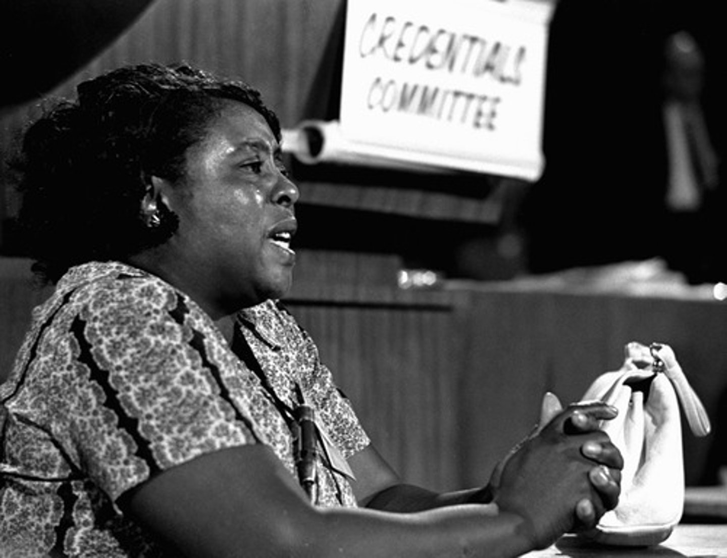 <p>American civil rights activist; she was a prominent leader of the Mississippi Freedom Democratic Party</p>