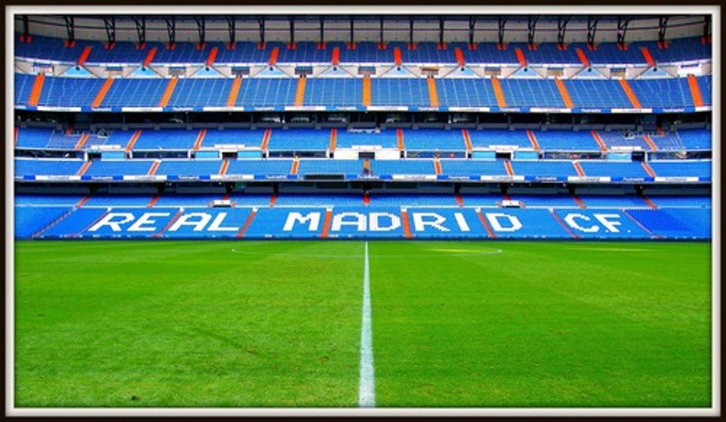 <p>the soccer field</p>