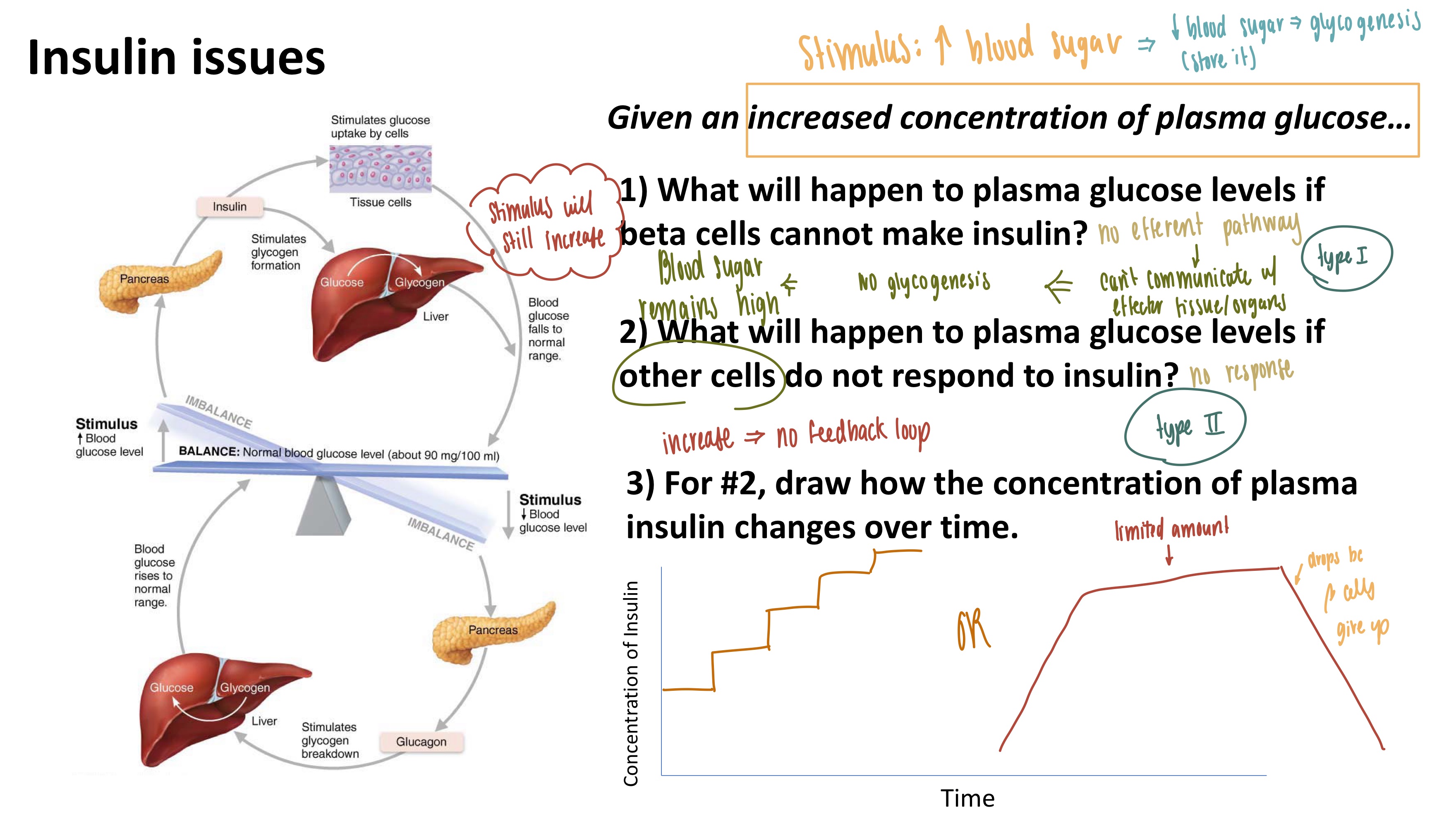 <p>Blood sugar remains high for both questions</p>