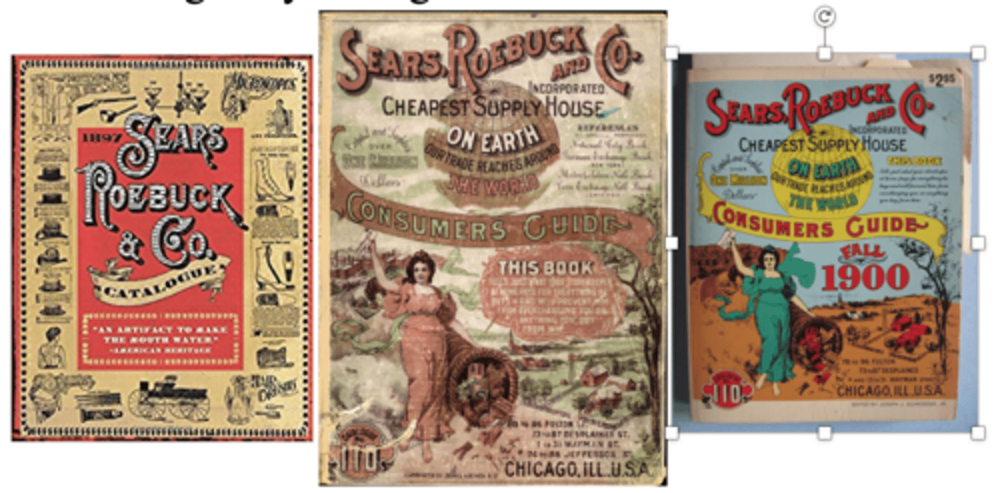 <p>Who created the largest mail-order catalog retail company in the US?</p>