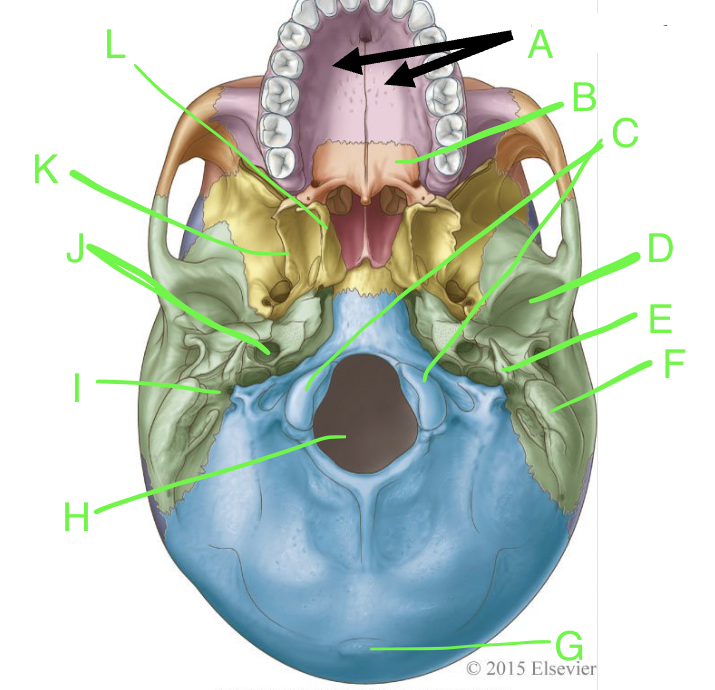 <p>E</p>