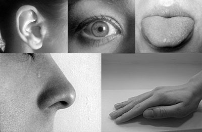 The nervous system receives information about the internal and external environments through a chemical or physical stimulus.  

External environments are sensed by taste, touch, hearing, sight and smell.  Stimuli for taste and smell are both chemical substances (molecules, compounds, ions, etc.), touch and hearing are physical stimuli, sight is light stimuli. 

Internal environment can also be sensed by the nervous system.  For example, the stretch of an organ wall or the concentration of certain ions in the blood.