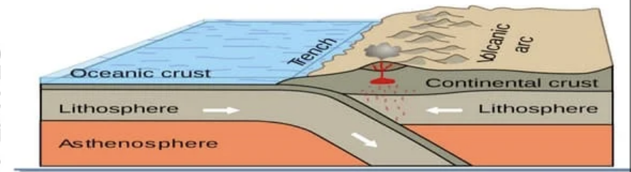 <p>Plates move t__owards__ eachother.</p><p>An oceanic plate is subducted under a continental plate, creating a volcanic mountain range, frequent large earthquakes and violent eruptions.  \n <em>E.g. The Andean Mountains</em></p>