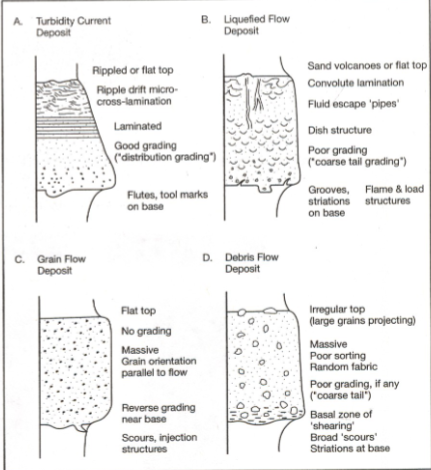 <p>Sediment gravity flows</p>