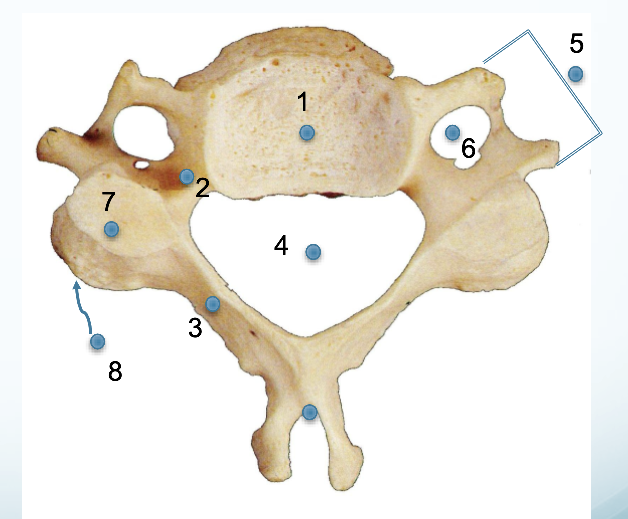 <p>1</p>