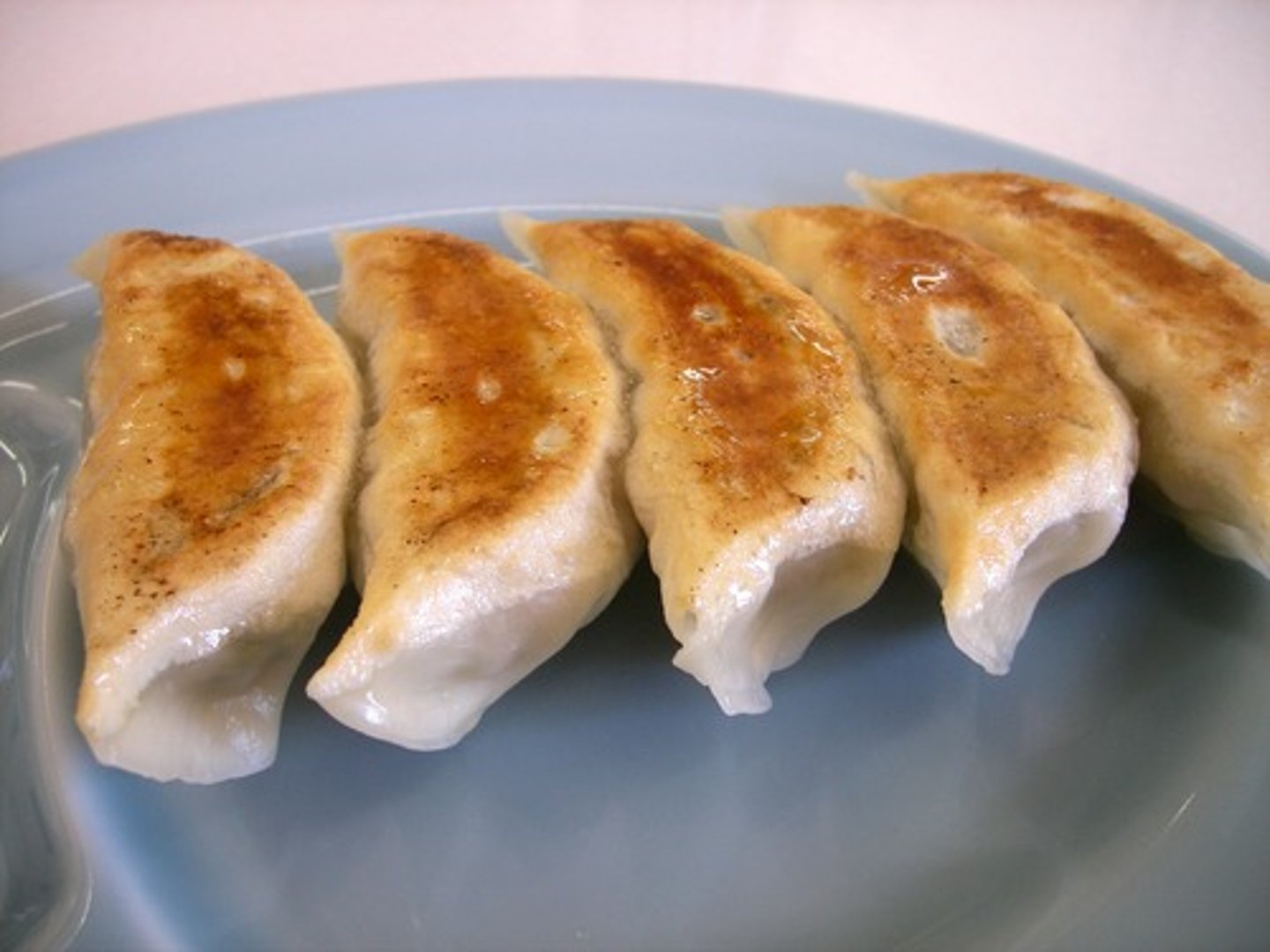 <p>pot-stickers</p>