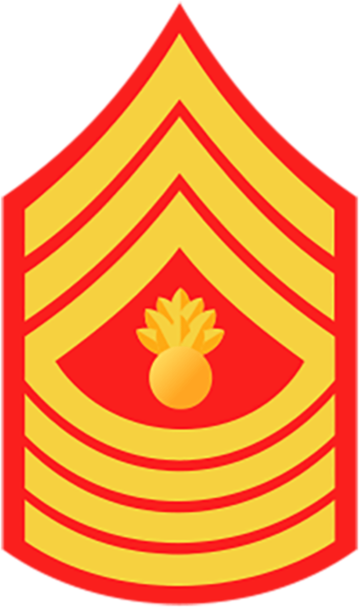 <p>Marine Corps: E-9</p>