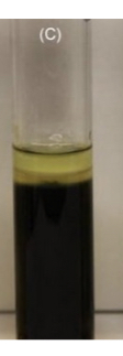 <p>Sulfur Reduction Indol Production Motility</p>