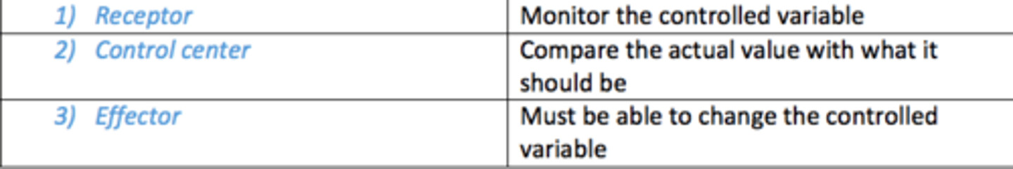 <p>1) Receptor</p><p>2) Control centre</p><p>3) Effector</p>