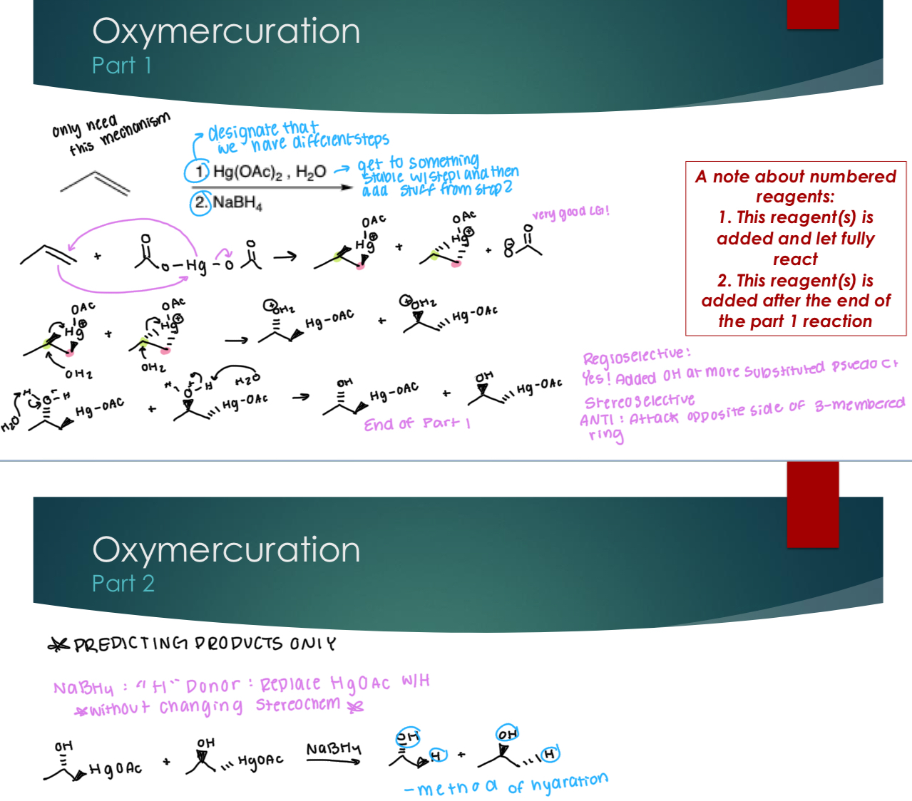 <p>A note about numbered reagents:</p><p>1. This reagent(s) is added and let fully react</p><p>2. This reagent(s) is added after the end of the part 1 reaction</p><p>PART 1</p><p>Stereoselectivity: Yes! ANTI: attack opposite sides of the 3-membered ring because it creates the more stable product.&nbsp;</p><p>Regioselectivity: Yes! Added OH at more substituted pseudo C+ and the&nbsp;“H” at less subsitiuted Carbon</p><p> </p><p></p><p><strong>PART 2 PREDICTING PRODUCTS ONLY</strong></p><p>NaBH4:&nbsp;“H” Donor: Replace HgOAc with H<u> without changing the stereochemistry</u>&nbsp;</p><p></p>
