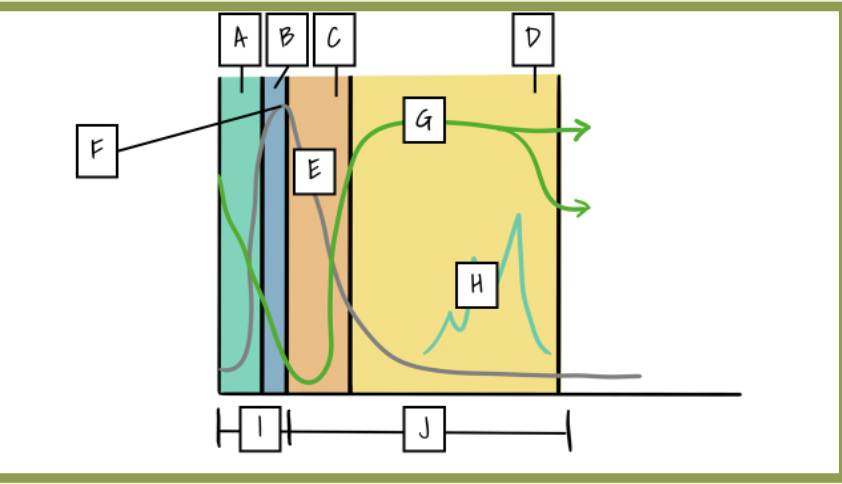 <p>Diagram a complete estrous cycle.</p>