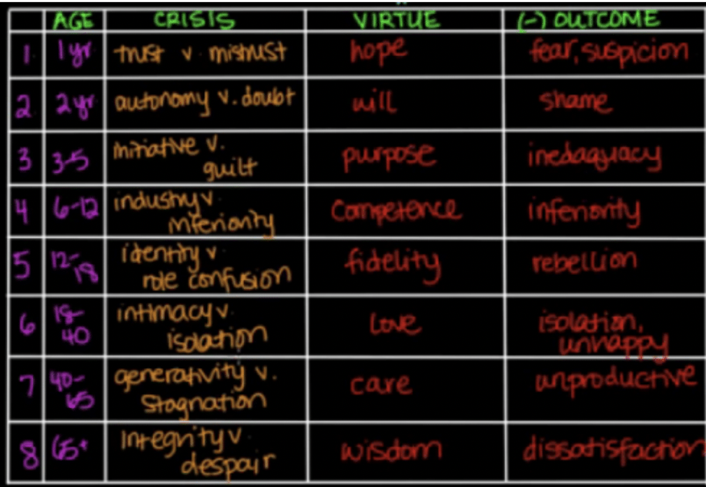 <p>Theory of Development (personality)</p><ul><li><p>Erikson</p></li><li><p>Personality/identity develops through whole lifespan</p></li><li><p>Each stage depends on overcoming a conflict/crisis</p></li><li><p>8 stages</p><ol><li><p>0-1 y/o</p><ul><li><p>Crisis: trust vs mistrust</p></li><li><p>Virtue: hope</p></li></ul></li><li><p>1-3 y/o</p><ul><li><p>Crisis: autonomy vs shame/doubt</p></li><li><p>Virtue: will/independence</p></li></ul></li><li><p>3-6 y/o</p><ul><li><p>Crisis:  initiative vs guilt</p></li><li><p>Virtue: purpose</p></li></ul></li><li><p>6-12 y/o</p><ul><li><p>Crisis: industry vs inferiority</p></li><li><p>Virtue: self-esteem/competence</p></li></ul></li><li><p>12-20 y/o</p><ul><li><p>Crisis: identity vs role confusion</p></li><li><p>Virtue: fidelity</p></li></ul></li><li><p>20-40 y/o</p><ul><li><p>Crisis: intimacy vs isolation</p></li><li><p>Virtue: relationships/love</p></li></ul></li><li><p>40-65 y/o</p><ul><li><p>Crisis: generativity vs stagnation</p></li><li><p>Virtue: sense of care for others</p></li></ul></li><li><p>65+ y/o</p><ul><li><p>Crisis: integrity vs dispair</p></li><li><p>Virtue: wisdom, closure</p></li></ul></li></ol></li></ul><p></p>