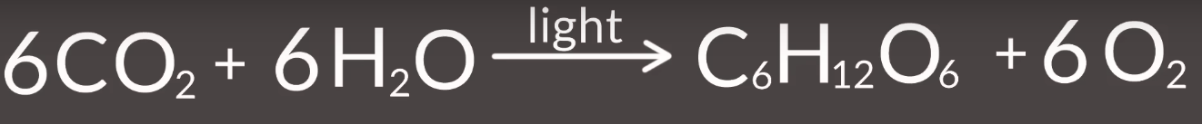 What is this an equation for? And what does everything represent?