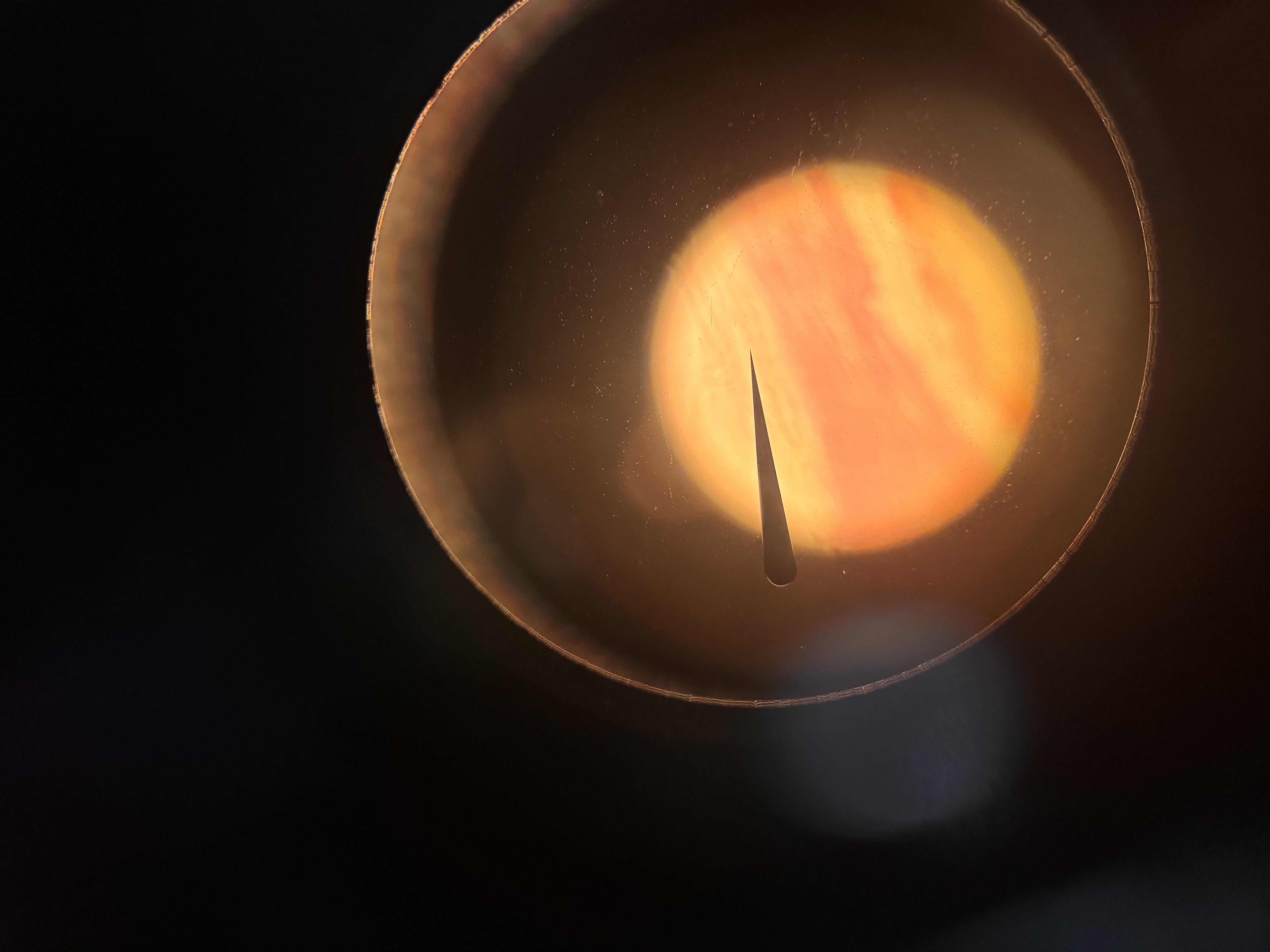 <p>What cell is this </p>