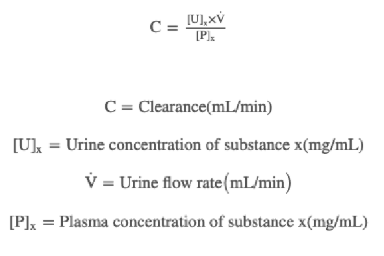 <p>the volume of PLASMA per unit time from which all of a substance is removed/cleared by the kidneys and excreted in the urine</p>