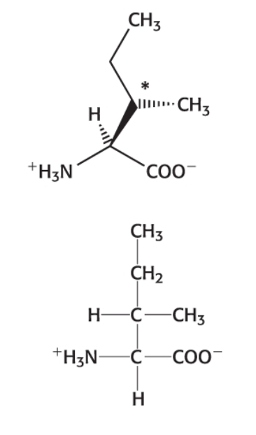 <p>Category: Hydrophobic </p>